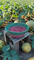 Watermelon Rope Bowl